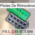 Pilules De Rhinocéros new04